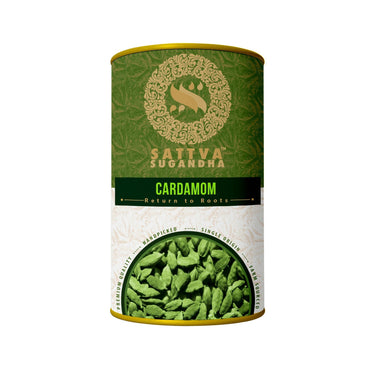 https://cdn.shopify.com/s/files/1/1857/6931/products/spyvFNmvjt.jpg?v=1667806289